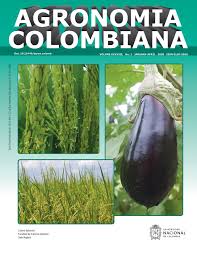 Maybe you would like to learn more about one of these? Chlorophyll A Fluorescence And Development Of Zucchini Plants Under Nitrogen And Silicon Fertilization Agronomia Colombiana