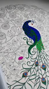 Techniques, and professional secrets for dynamic comic book coloring and lettering. Secret Garden Artist S Edition A Pull Out And Frame Colouring Book By Johanna Basford
