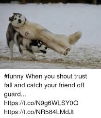 Funny When You Shout Trust Fall And Catch Your Friend Off Guard Httpstcon9g6wlsy0q Httpstconr584lmdjt Fall Meme On Me Me