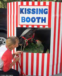 Pucker Up Therapy Horse Scooby Boo Offers Kisses To Cheer People Up Horse Rescue Horse Therapy Horse Love