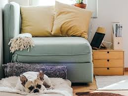 As a landlord, you care about your tenants and want to show them respect. Can A Landlord Sell A House During A Lease What Are My Rights