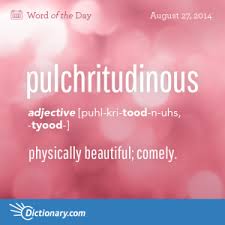 The Definition Of Bespoke Unusual Words Uncommon Words Dictionary Words