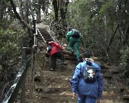 Pakej mendaki gunung kinabalu 2h 1m 2020 (panalaban resthouse). Mount Kinabalu Climb 3 Days 2 Nights Via Ferata Sabah Backpackers