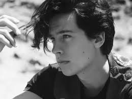 És Um Verdadeiro Fã De Cole Sprouse?