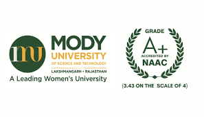Mody University (School of Management Studies)