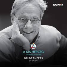 Somhegyi krisztián, zsolt suti andrás, imreh balázs, szarka ákos, móricz dani, bors máté és jósa danny. Antoine De Saint Exupery Balint Andras A Kis Herceg Hangoskonyv Bookline