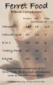 Punctilious Ferret Kibble Chart Clubhouse Ferret Food Chart