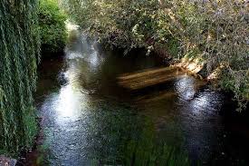 Freiburg Germany Dreisam River Beautiful Places Favorite Places Places