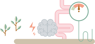 Nebenwirkungen Einer Krebstherapie Ihr Ratgeber Auf Krebs Ich