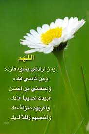 pin by amani on دعاء good morning herbs islam