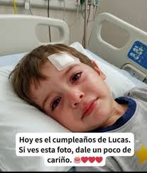 GO E Hoy es el cumpleaños de Lucas. Si ves esta foto, dale un poco de  cariño.
