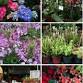 32nd Annual Spring Garden Festival