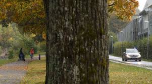 Mitarbeiter zu chefs und chefs zu mitarbeitern (oft) 3. Baden Online Nachrichten Der Ortenau Offenburger Tageblatt