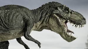 A tyrannosaurus rex or t rex and triceratops dinosaur fight scene illustration of the two dinosaurs fighting each other. Tyrannosaurus Rex History Channel
