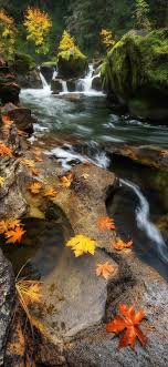 Nature Wallpaper Download Images Of Nature Beauty Nature Wallpaper Hd 3d Natural Photo Gallery Ult Hd Nature Wallpapers Nature Wallpaper Fall Wallpaper Free hd wallpaper, images & pictures of nature, download photos for your desktop page: