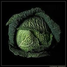 La Verza Sott Olio Verza Cavolo Rosso Ricette