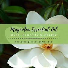 Magnolia Essential Oil Is Known For Its Emotional Benefits And Its Heavenly Aroma This Elusive Essential Oil Uses Essential Oil Treatments Essential Oils