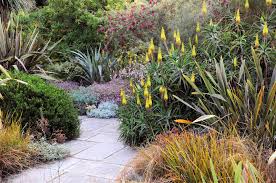 Association des parcs et jardins de bretagne. Le Jardin Exotique Jardin De Pellinec A Penvenan En Bretagne Jardin Du Pellinec Jardin Exotique Jardins Exotique