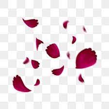 Floating Petals Falling Rose Poster Material Beautiful Romantic Floating Petals Png Transparent Clipart Image And Psd File For Free Download Rose Petals Falling Petals Red Glitter Background