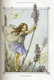 что мне снег что мне зной что мне дождик проливной Cicely Mary Barker The Complete Book Of The Flower Fairies Fairy Art Vintage Fairies Flower Fairies