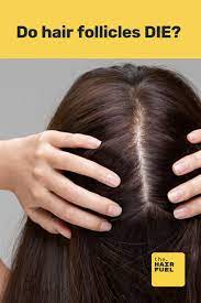 How Do Hair Follicles Die All About Damaged Hair Follicles Damaged Hair Follicles Hair Mask For Growth Vellus Hair