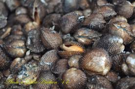 Kijing dapat hidup di air tawar dan air laut. Cara Masak Kerang Kijing Masak Memasak
