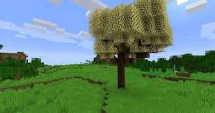 A beautiful and massive cherry blossom tree planted in glowstone for astounding colors at night, the pictures say the rest. Vazkii S Mods On Twitter New Quark Feature Blossom Trees These New Rare Trees Will Dot The Landscape Different Trees Will Spawn In Different Biomes There S A Total Of 5 Colors To Get