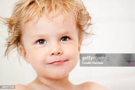 450 Fernow Stock Photos, High-Res Pictures, and Images