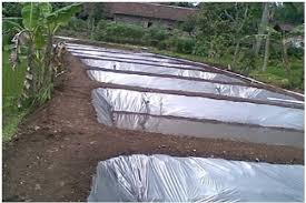 Kolam terpal menciptakan banyak sekali keuntungan di bandingkan dengan kolam yang terbuat dari tanah terpal kolam di riau. Gambar Kolam Ikan Terpal Tentang Kolam Kandang Ternak