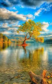 Trailblazergear Com We Love Nature So Much Buy Hiking Camping Survival Gadgets Outdoors F Landscape Photography Nature Nature Pictures Nature Photography