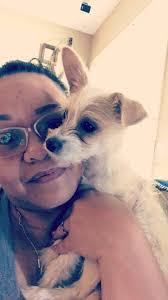 Lost White Puppy Found