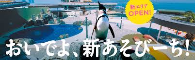 大分マリーンパレス水族館「うみたまご」公式サイト | 大分観光