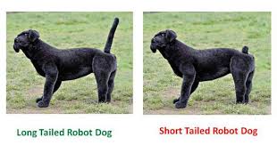 Tail docking is the term given to the surgical removal of puppies' tails for cosmetic purposes. The Weird Reasons Why Humans Started Docking Dog Tails Barkpost