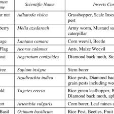 First western pest control, inc signal hill •. Pdf Documentation Of Indigenous Technical Knowledge And Their Application In Pest Management In Western Mid Hill Of Nepal