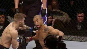 Ranks in any martial arts. Conor Mcgregor Ko S Jose Aldo With One Punch To Win Featherweight Title Sporting News
