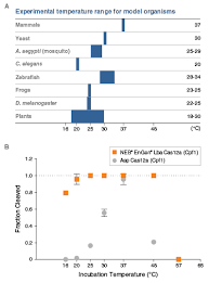 Phage resistance provides 'biotech bounty' in the 100 years since their discovery, bacteriophages have significantly. Crispr Cas Nukleasen Fur Gene Editing New England Biolabs Gmbh