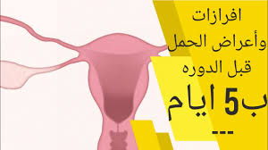 إجراء تحليل الحمل المنزلي في وقت مبكر جدًا من غياب الدورة الشهرية، وفي هذه الحالة يُنصح بإعادة التحليل بعد مرور أسبوعٍ واحدٍ على غياب الدورة الشهرية أو إجراء فحص للدم في حالة عدم القدرة على الانتظار لإعادة التحليل؛ إذ كلما تم إجراء تحليل الحمل خلال فترةٍ أبكر بعد غياب. Ø§ÙØ±Ø§Ø²Ø§Øª Ø§Ù„Ø­Ù…Ù„ Ù‚Ø¨Ù„ Ø§Ù„Ø¯ÙˆØ±Ù‡ Ø¨Ø®Ù…Ø³ Ø§ÙŠØ§Ù… Ø¹Ù„Ø§Ù…Ø§Øª Ø§Ù„Ø­Ù…Ù„ Ø§Ù„Ø£ÙƒÙŠØ¯Ø© Ù‚Ø¨Ù„ Ø§Ù„Ø¯ÙˆØ±Ø© Ø¨Ø®Ù…Ø³Ø© Ø£ÙŠØ§Ù… Youtube
