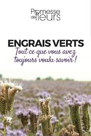 Engrais Verts Tout Savoir Engrais Engrais Naturel Jardin Permaculture