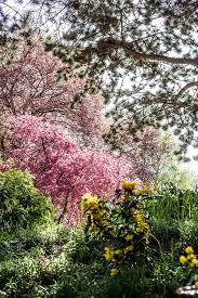 Die besonderheiten des alten botanischen gartens in kiel der botanische garten wurde 1884 eröffnet und liegt nördlich der innenstadt in unmittelbarer nähe zur kieler förde, der kunsthalle und den unikliniken. Kieler Ecken Der Alte Botanische Garten Forde Fraulein
