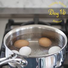 Let me know in the comments if you'd like to see more of this kinda thing :)new merch available now: Cooking School Day 15 Boil Simmer Kitchn