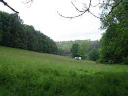 Visit our los angeles museums and library, interact with art, and access free research tools. Durch Das Einsame Hasselbachtal Im Nordsolling Urlaub Im Weserbergland Der Blog Zu Unserem Ferienhaus