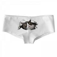Pin On Funny Cats