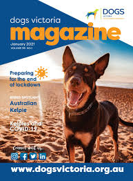 Dogs Victoria Magazine January 2021 By Dogs Victoria Issuu