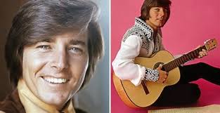 WATCH: Drone captures huge shark pair near Honeymoon Island