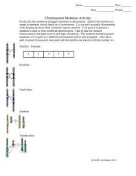 True a mutation has occurred in the promoter sequence of a gene. 35 Gene And Chromosome Mutation Worksheet Free Worksheet Spreadsheet