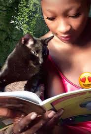 A cute kitten is reading a book 📚😊🐱