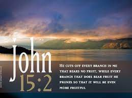 Pin On Bible Verses With Picture
