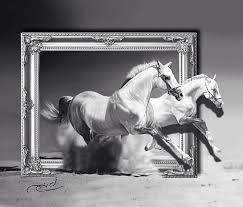 Drawing images amazing drawings animal art drawing illustrations drawing supplies sketches animal drawings horse sketch art. Realistic Horse Pencil Drawing By Ayman Arts No 177