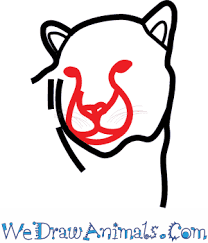 How to draw a leopard step by step. How To Draw An Amur Leopard