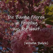 Die Baume Fahren Im Spruche Zitate Und Gedichte Facebook
